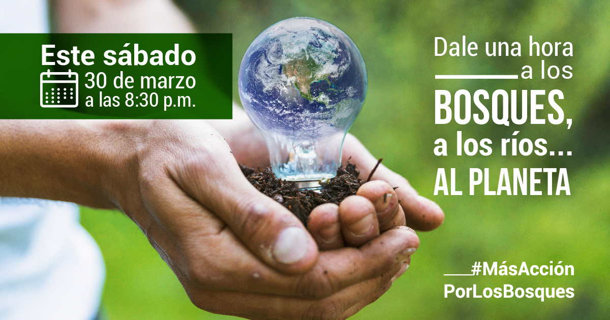 Más Acción por los Bosques 1