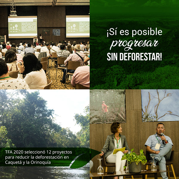 Más Acción por los Bosques 4