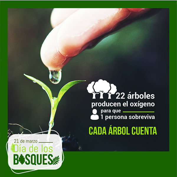 Más Acción por los Bosques 5