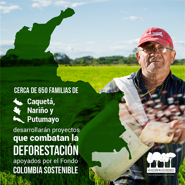 Más Acción por los Bosques 6